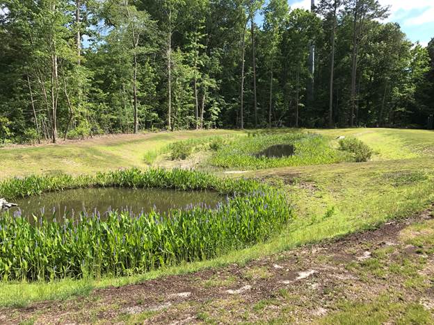 phot of a stormwater retention pond